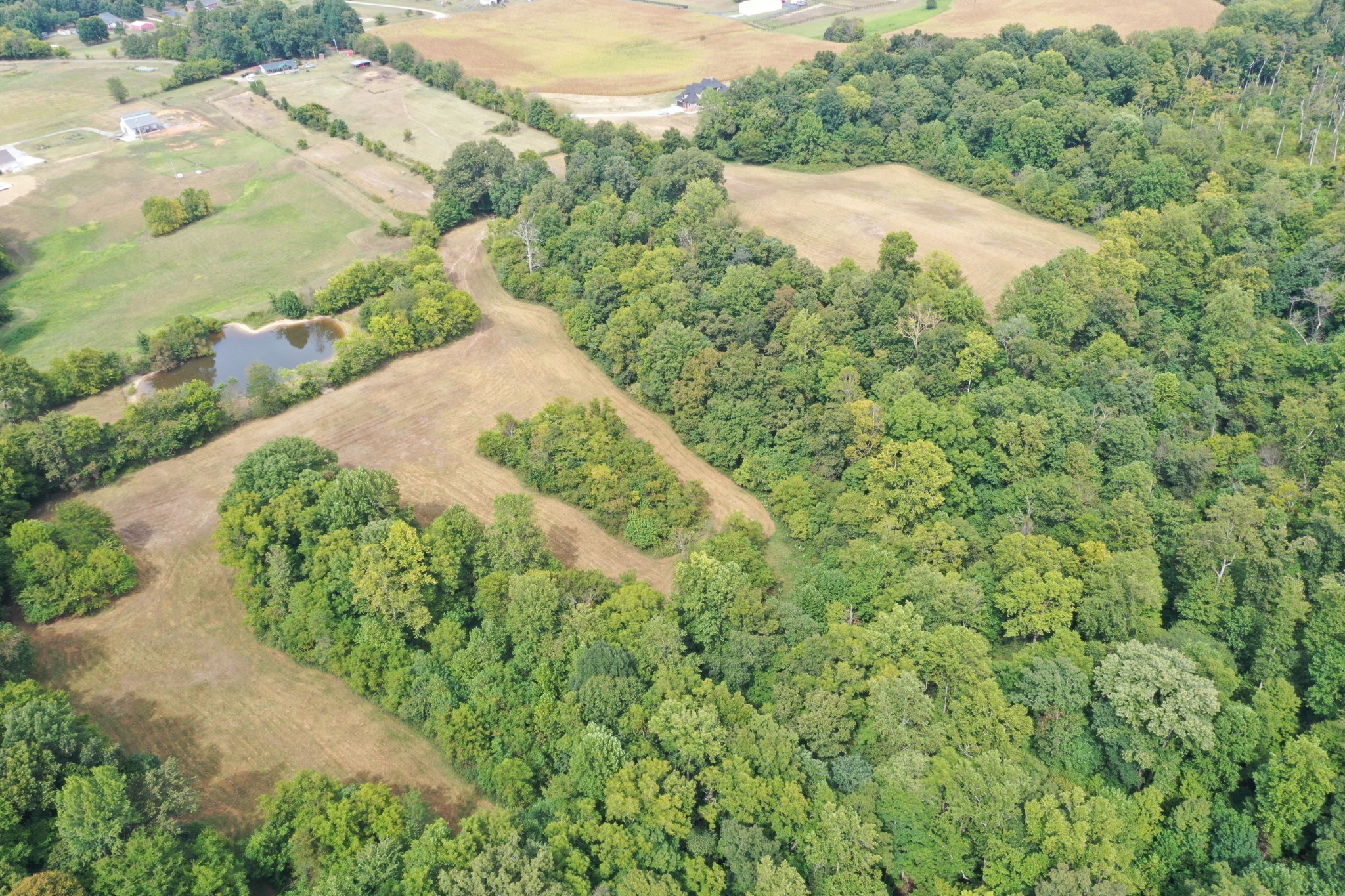 5849 Catholic Church Road Cedar Hill, TN 37032 - Photo 4 of 23 an aerial view of a house with a yard and large trees