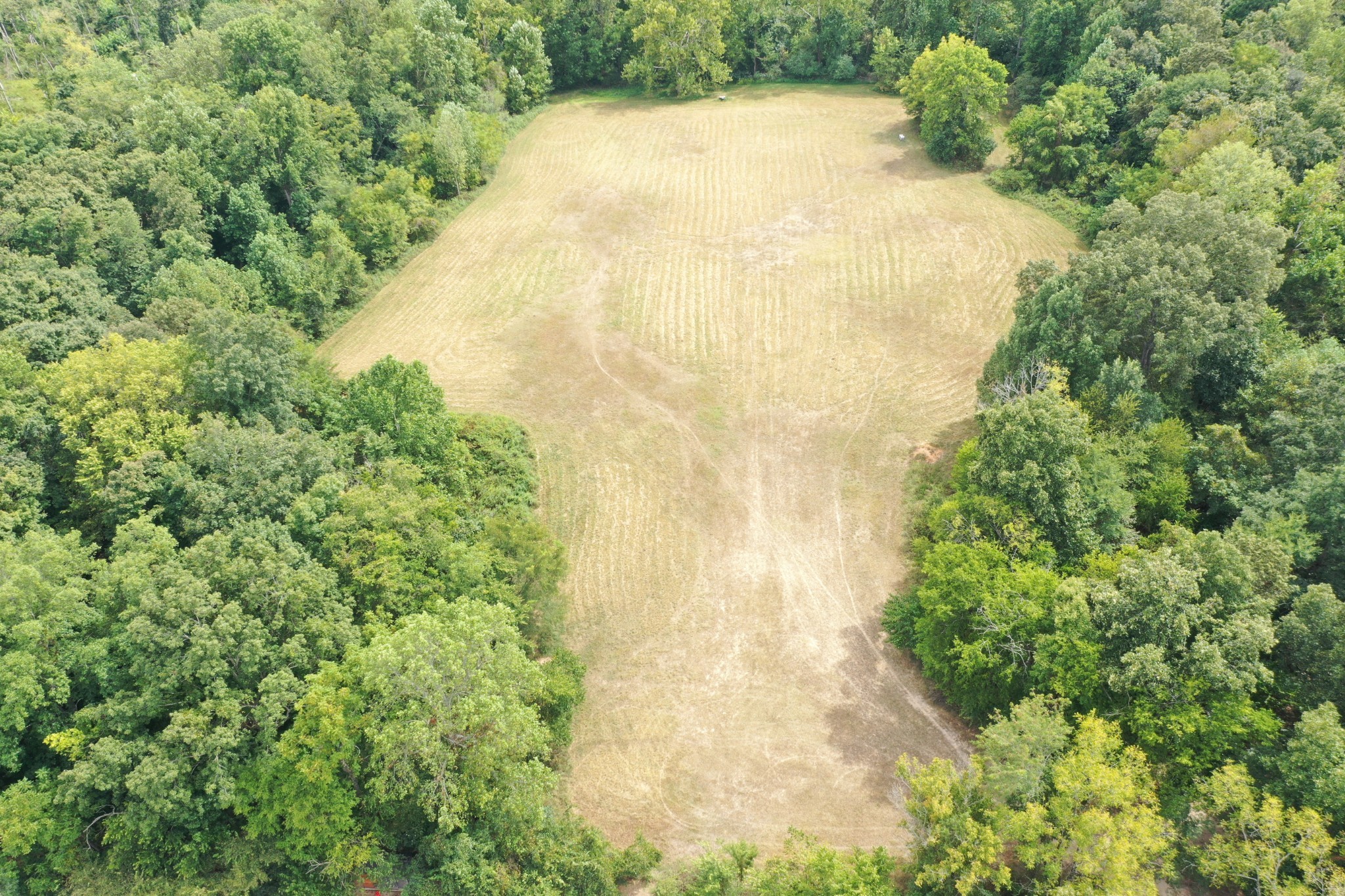 5849 Catholic Church Road Cedar Hill, TN 37032 - Photo 6 of 23 a view of a yard with a trees