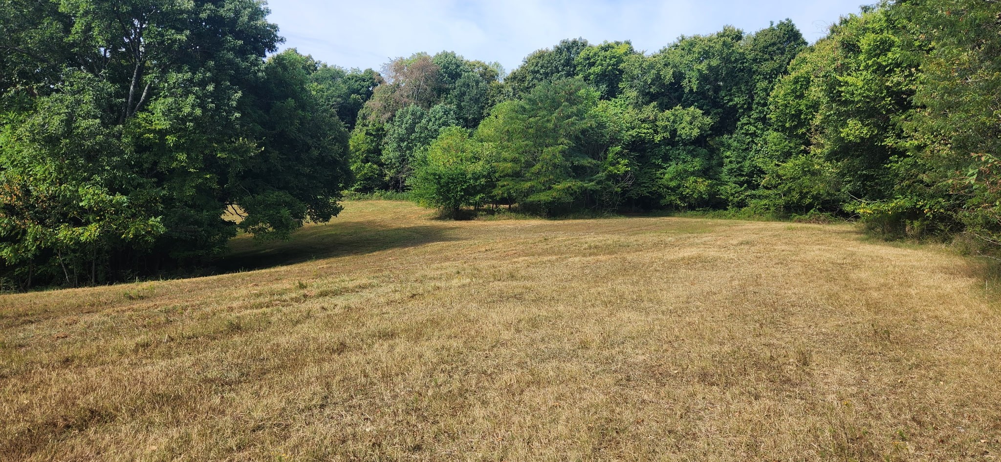 5849 Catholic Church Road Cedar Hill, TN 37032 - Photo 8 of 23 a view of a yard with a tree