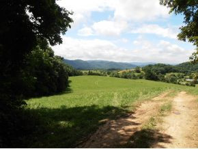 0 B B Chase Road Jonesborough, TN 37659 - Photo 1 of 6 Views from the property