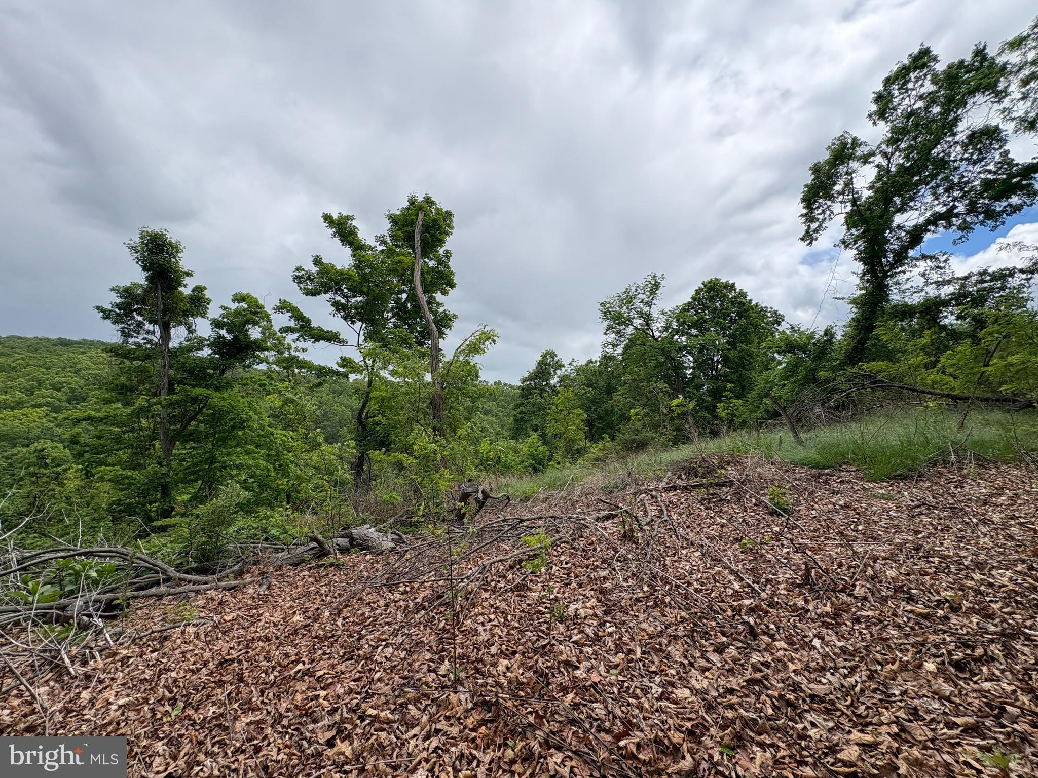 40.15-ac Middle Ridge Road Burlington, WV 26710 - Photo 33 of 47