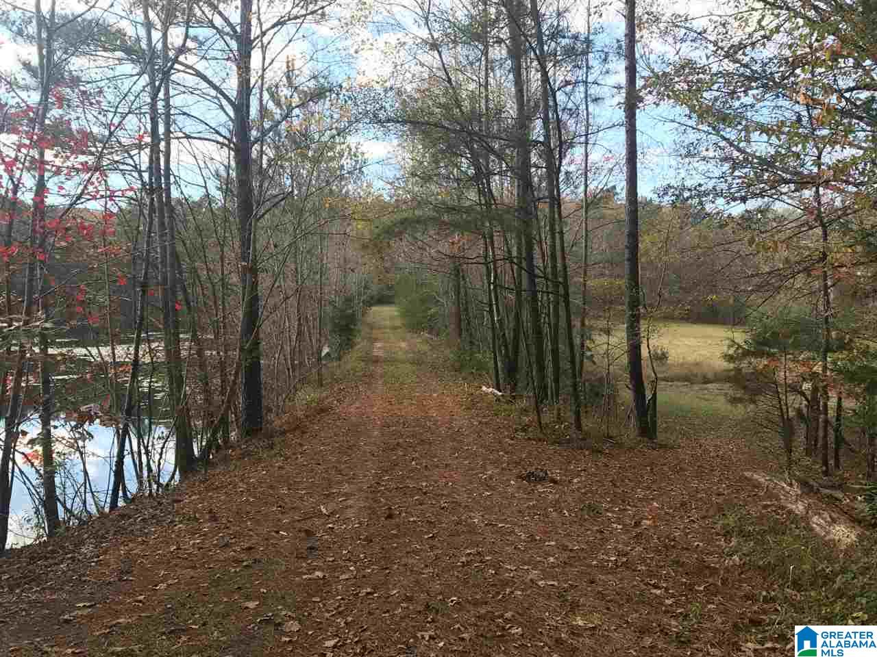 3415 Logan Martin Dam Road, Unit 48 / ACRES Vincent, AL 35178 - Photo 2 of 32