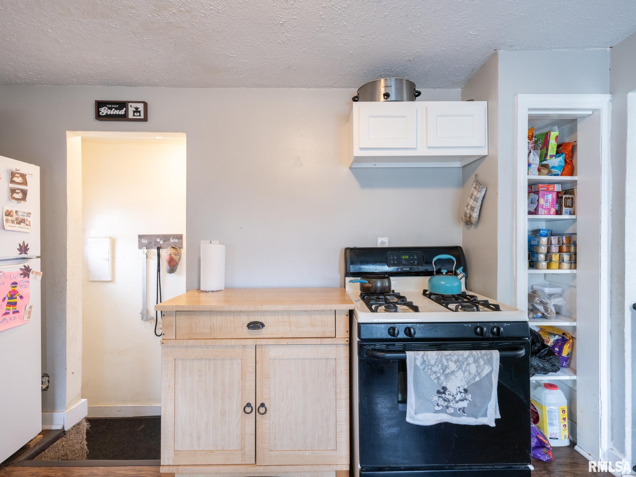 632 Roosevelt Street Creve Coeur, IL 61610 - Photo 13 of 46