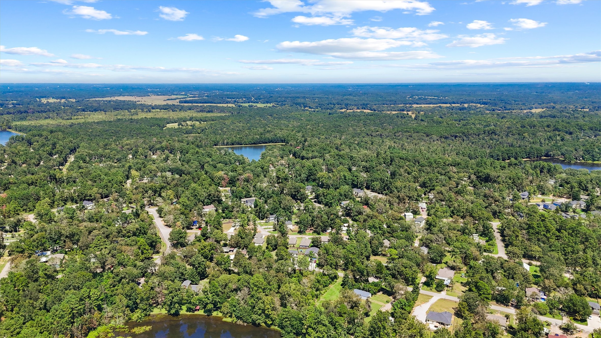 3816 Sam Houston Road Houston, TX 77002 - Photo 12 of 19 a view of a city with lush green forest