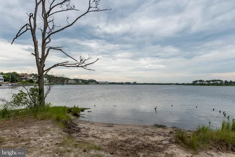a view of a lake from a yard