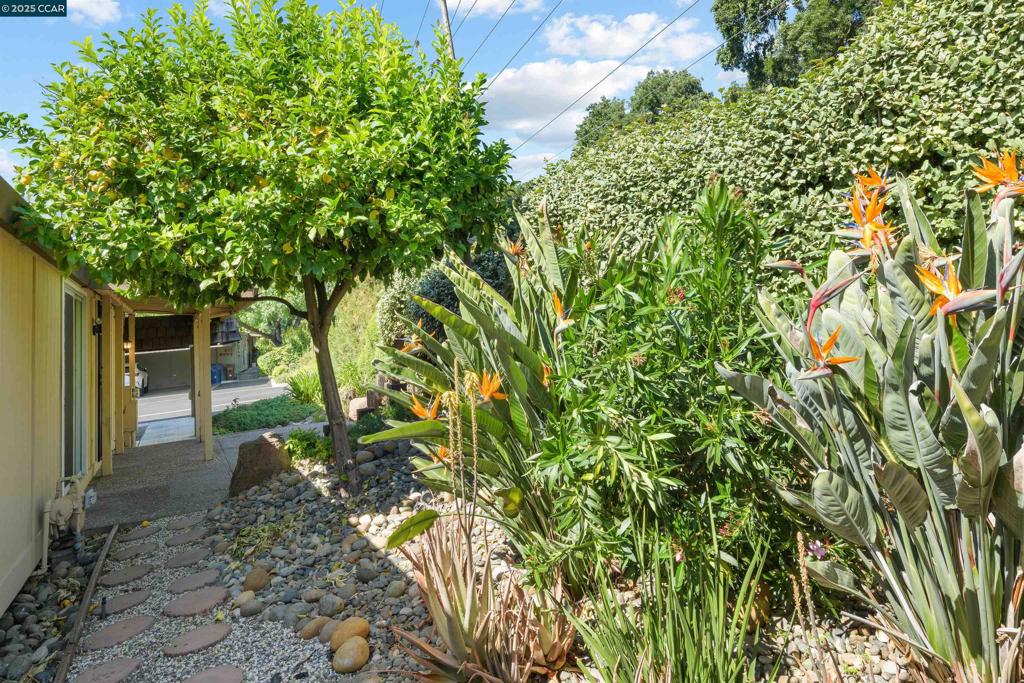 1201 Monument Boulevard Concord, CA 94520 - Photo 23 of 23 a backyard of a house with lots of green space