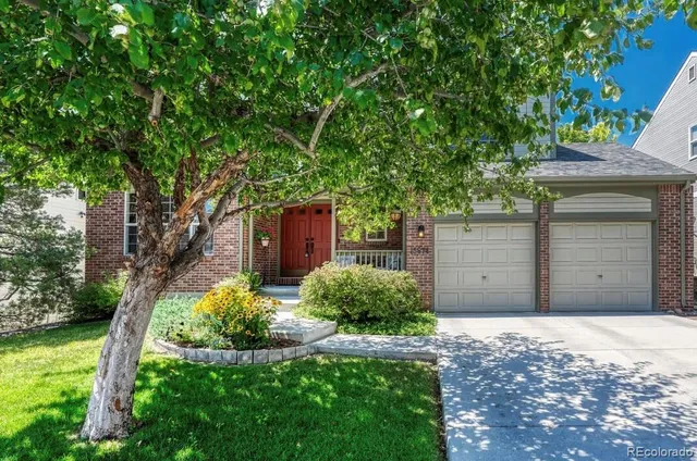 a house view with a backyard space