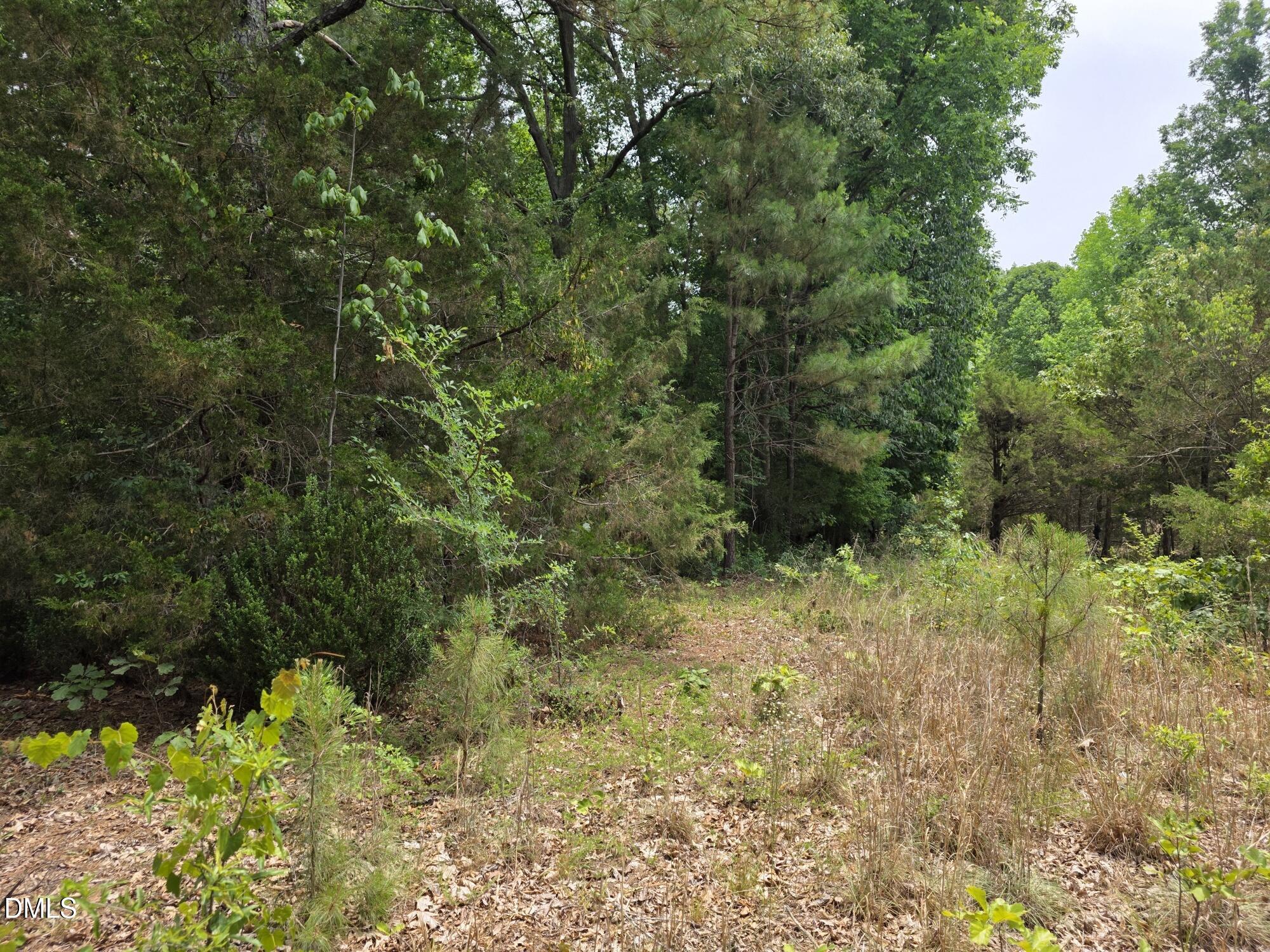 4901 Bluebird House Lane Raleigh, NC 27616 - Photo 10 of 10