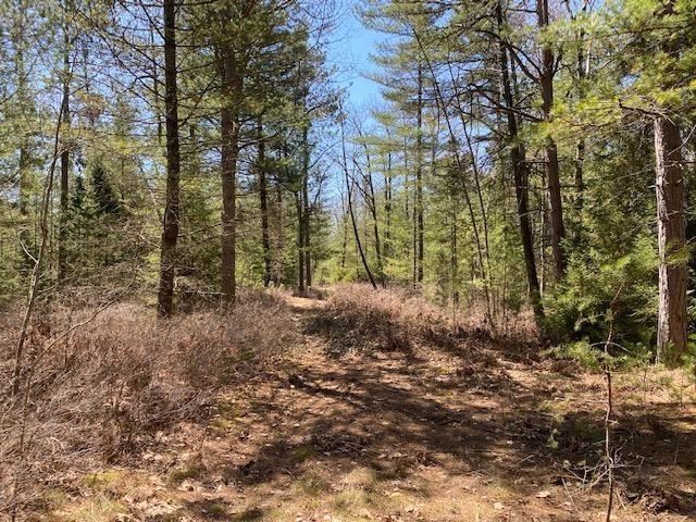 West Ausable Point Road East Tawas, MI 48730 - Photo 8 of 25
