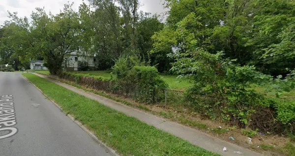 a view of a yard with plants and large trees