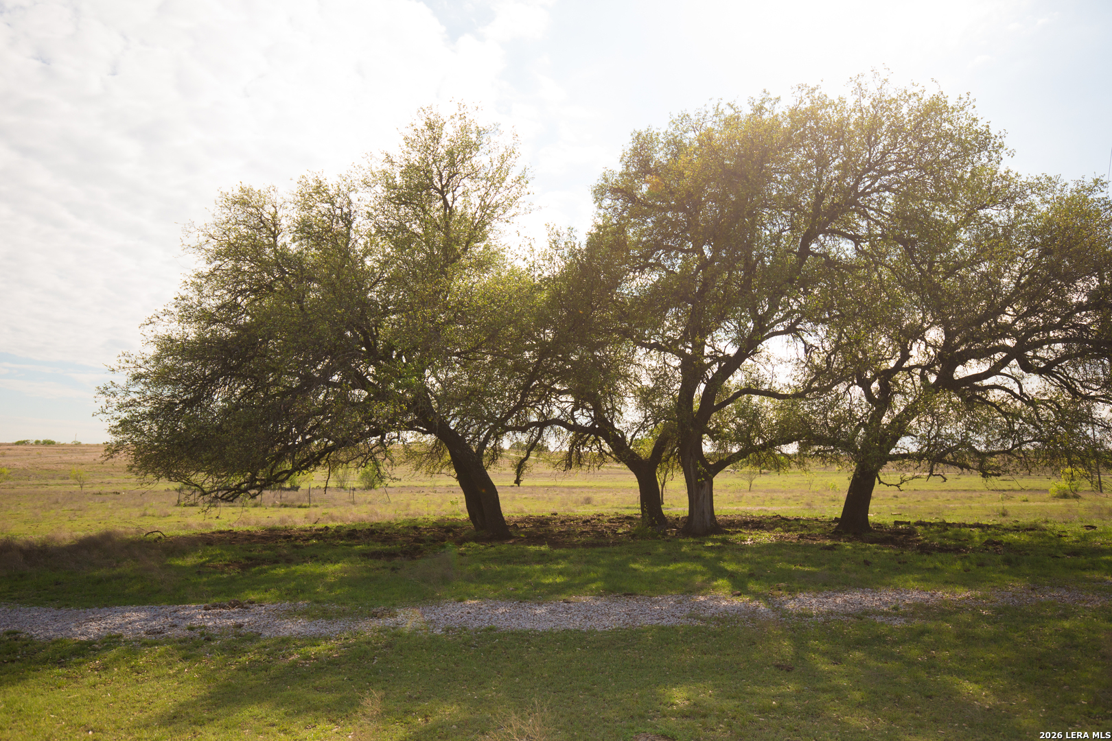 1843 Savanna Ridge Ranch Road Lometa, TX 76853 - Photo 4 of 24 Gallery Image 4