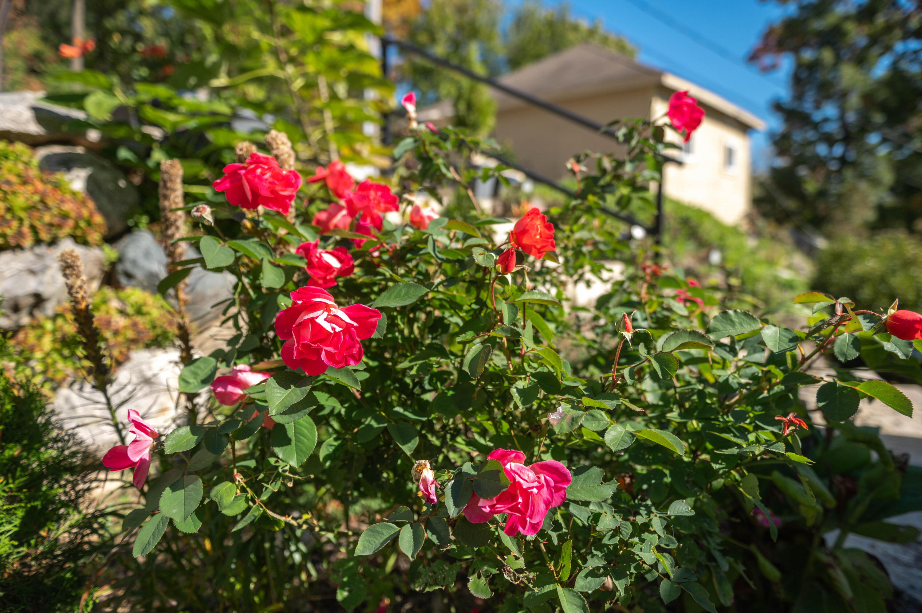 N39W27485 Hillside Grove Road Pewaukee, WI 53072 - Photo 31 of 35 Hillside-14