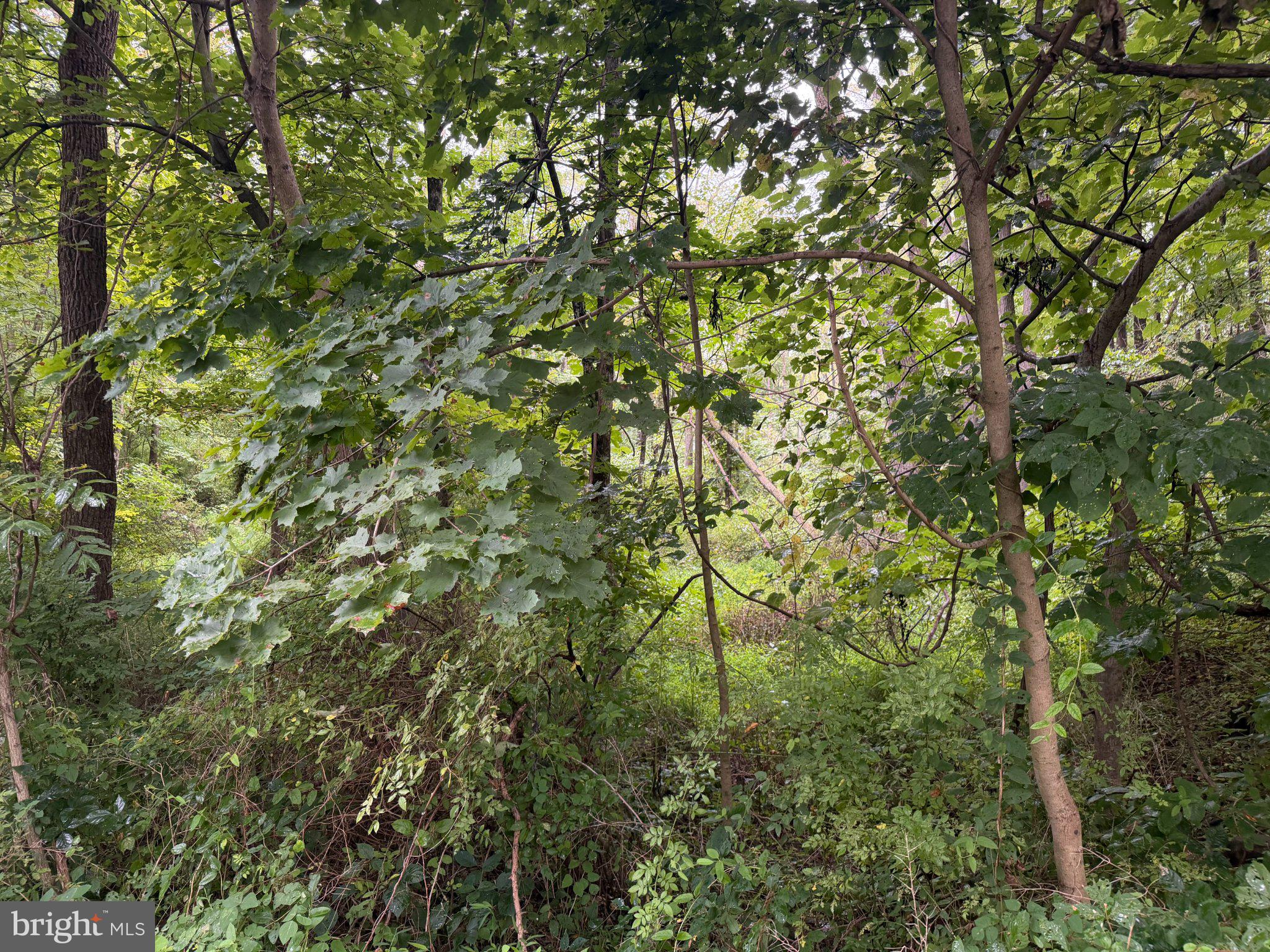 0 Hill Road Palm, PA 18070 - Photo 6 of 8 Gallery Image 6