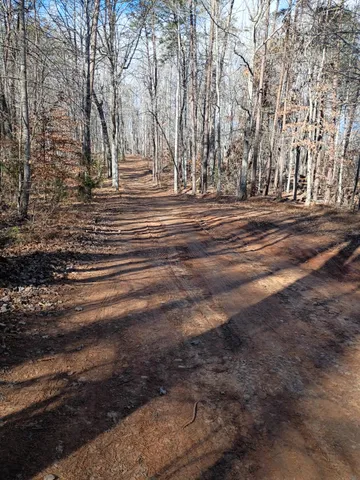 a view of outdoor space and trees