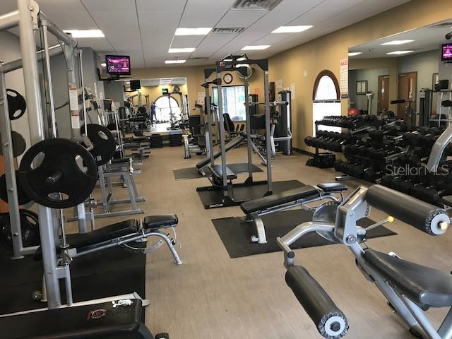 11826 Dumaine Valley Road Riverview, FL 33579 - Photo 54 of 54 a view of a room with gym equipment