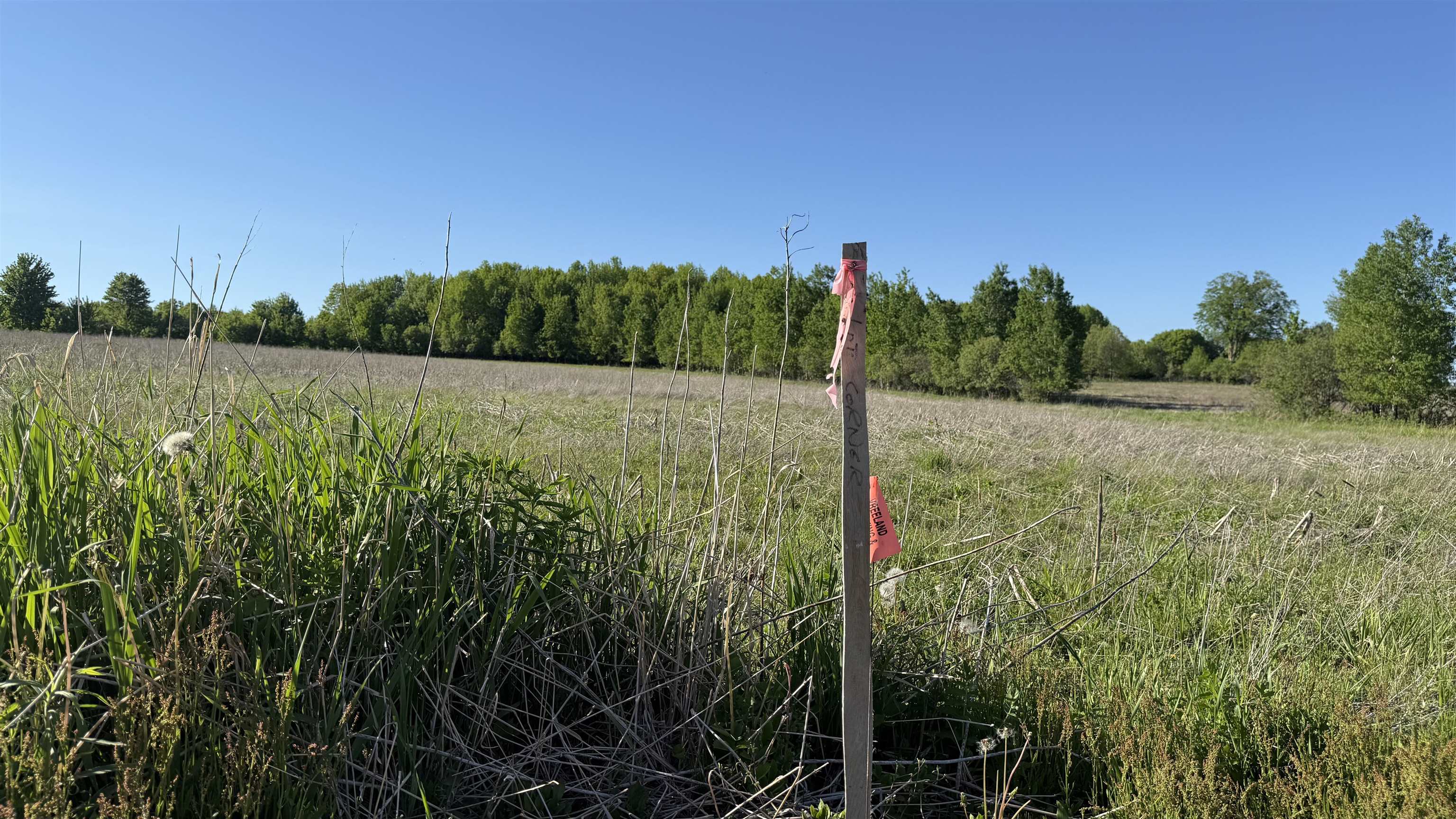 Lot 1 County Road Z Ringle, WI 54471 - Photo 21 of 22