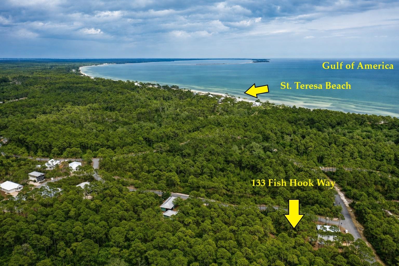 133 Fishhook Way Sopchoppy, FL 32358 - Photo 4 of 28