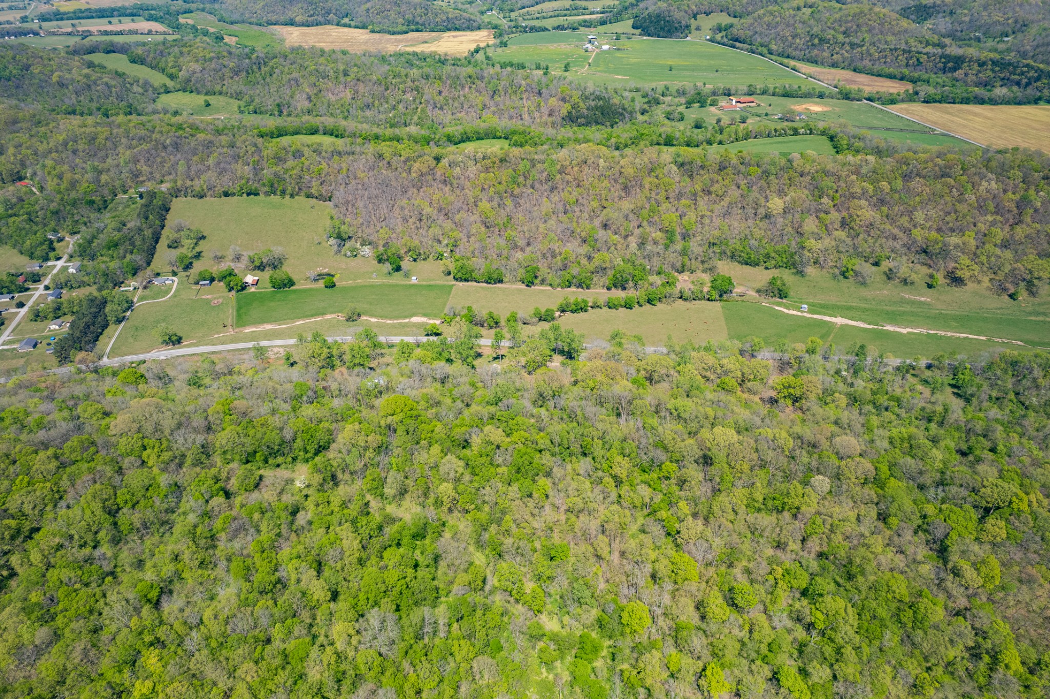 8039 Campbellsville Road Pulaski, TN 38478 - Photo 62 of 100