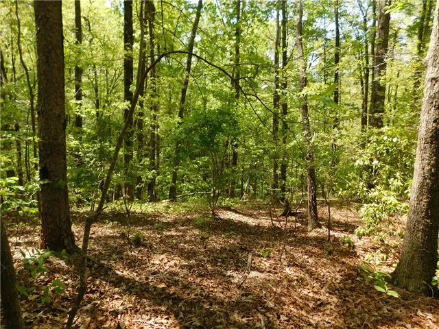 $165,000 | 925 Mountain Breeze Lane, Salem, SC 29676