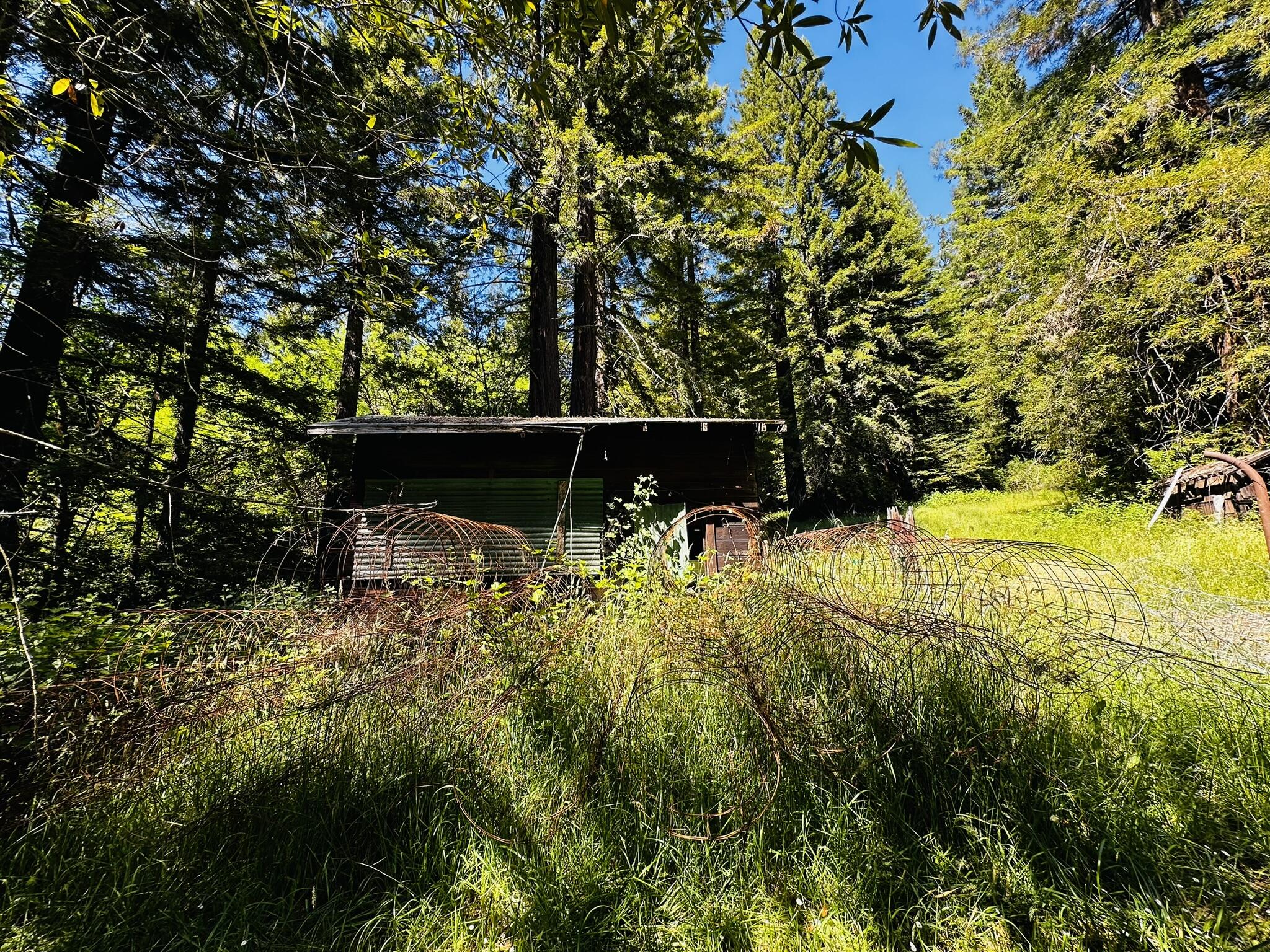 2675 Briceland Road Redway, CA 95560 - Photo 101 of 113 IMG_1323
