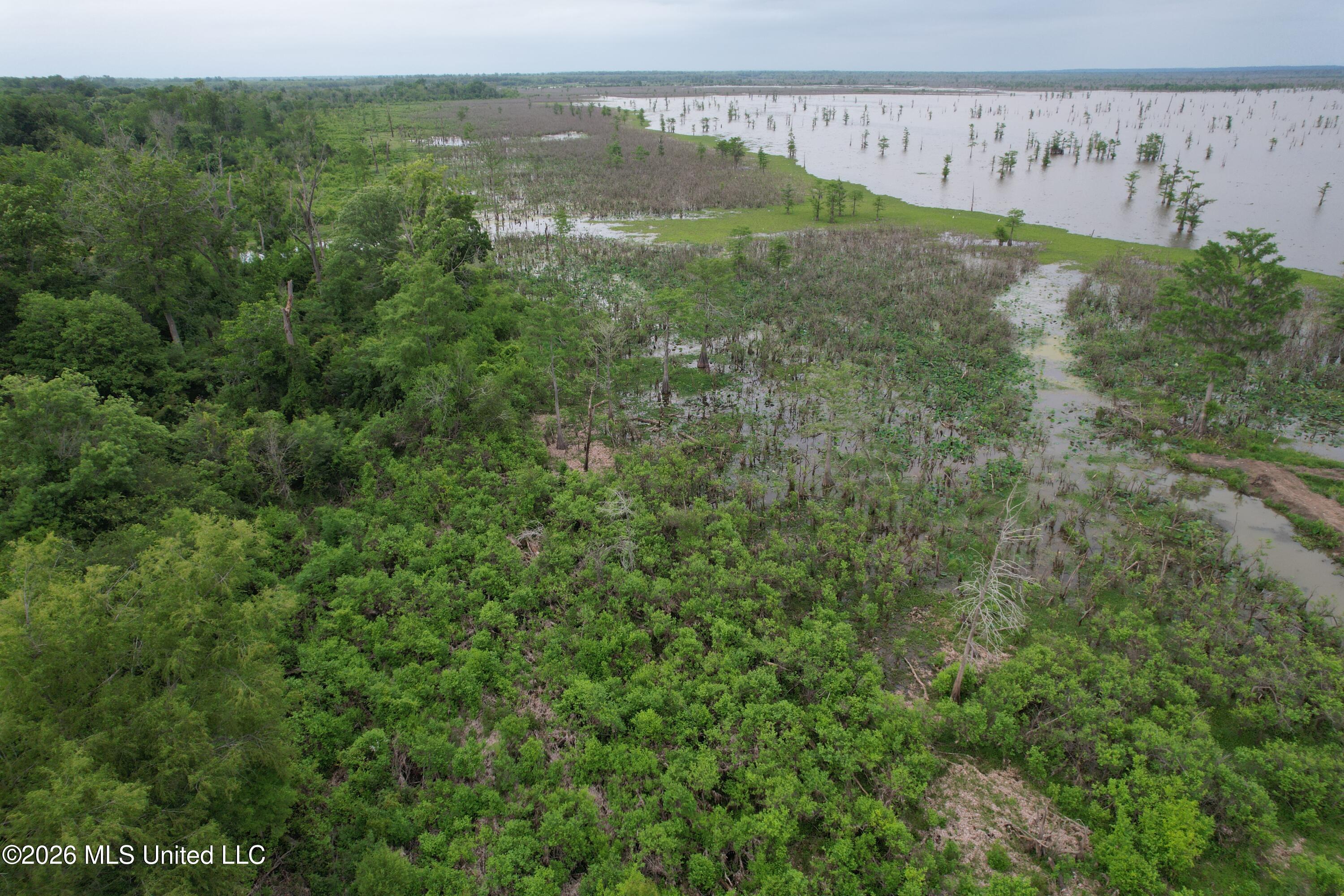 Lake Mary Road Woodville, MS 39669 - Photo 15 of 39 DJI_0973