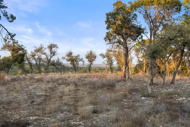 $1,500,000 | 5946 Grotto Creek, Fischer, TX 78623