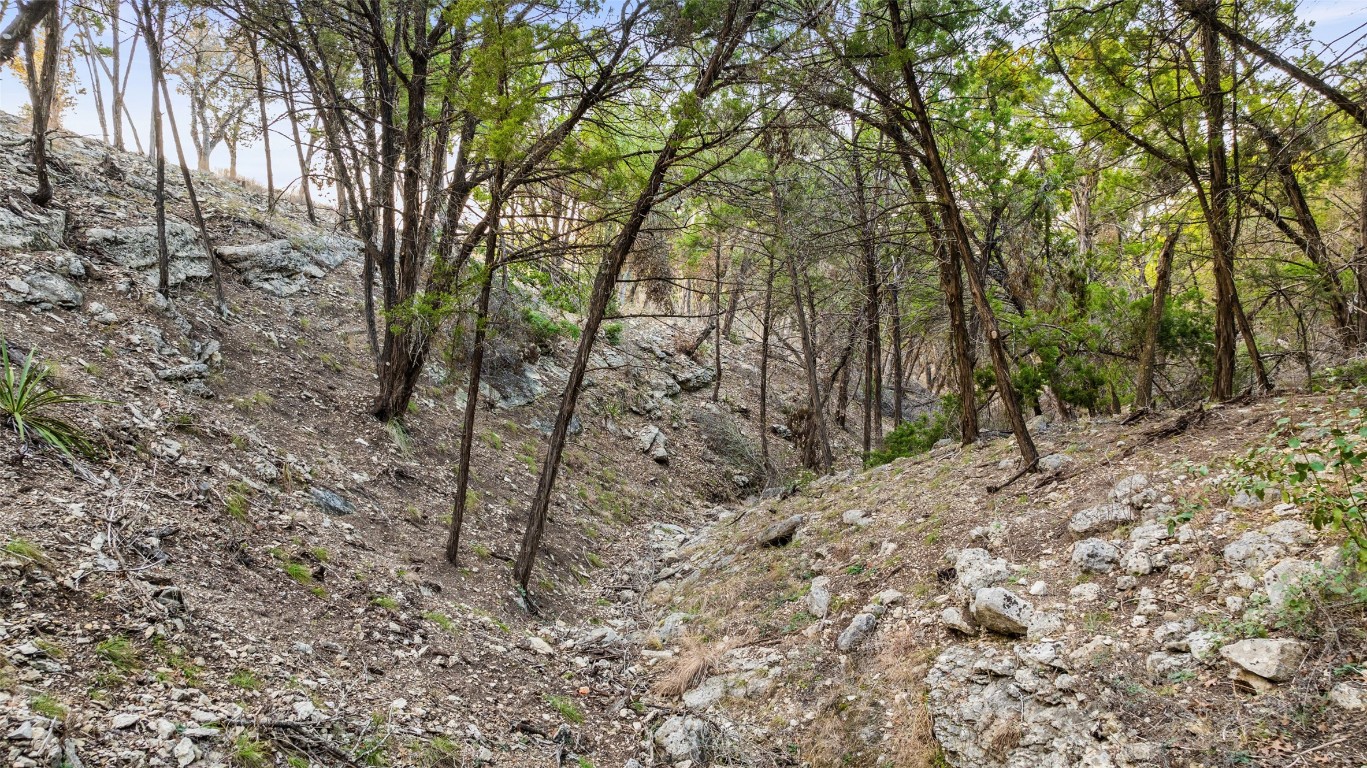 5946 Grotto Creek Fischer, TX 78623 - Photo 19 of 22