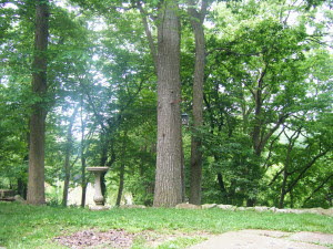 3808 River Bluff Road Bedford, IN 47421 - Photo 22 of 36 Gallery Image 22