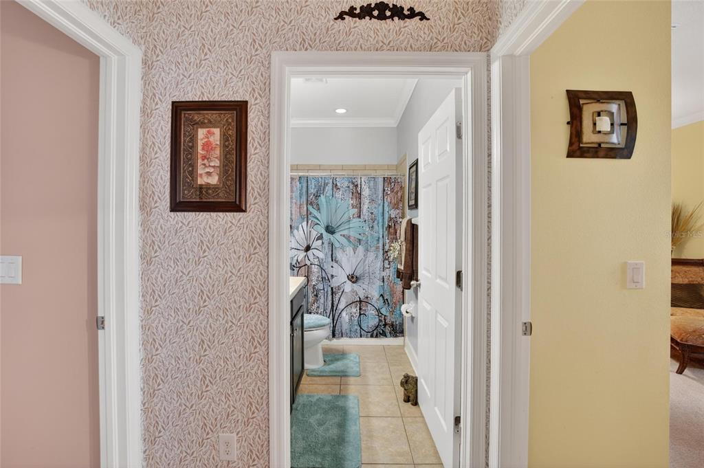 10232 Holland Road Riverview, FL 33578 - Photo 36 of 62