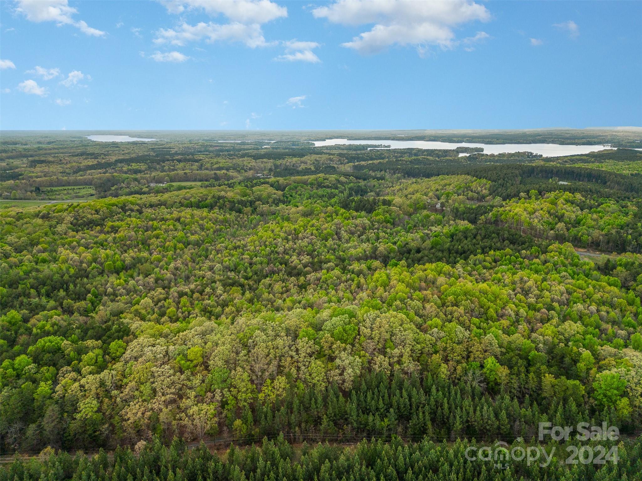 0 Bringle Ferry Road Salisbury, NC 28146 - Photo 8 of 14 Gallery Image 8