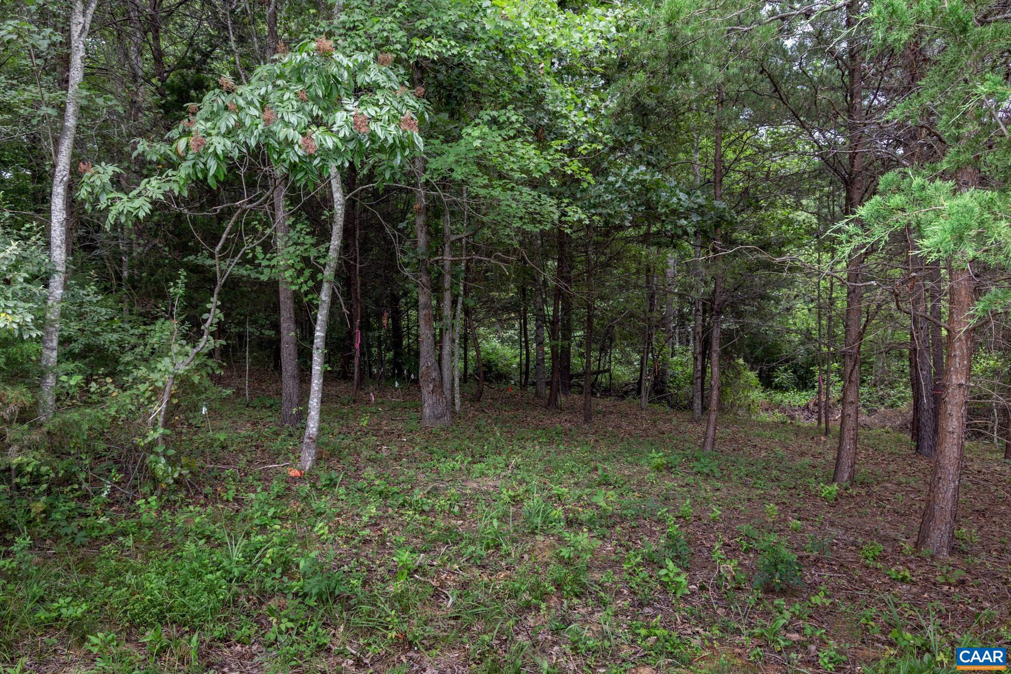 Lot 69 Palmer Place, Unit 69 Ruckersville, VA 22968 - Photo 3 of 15 a view of a forest