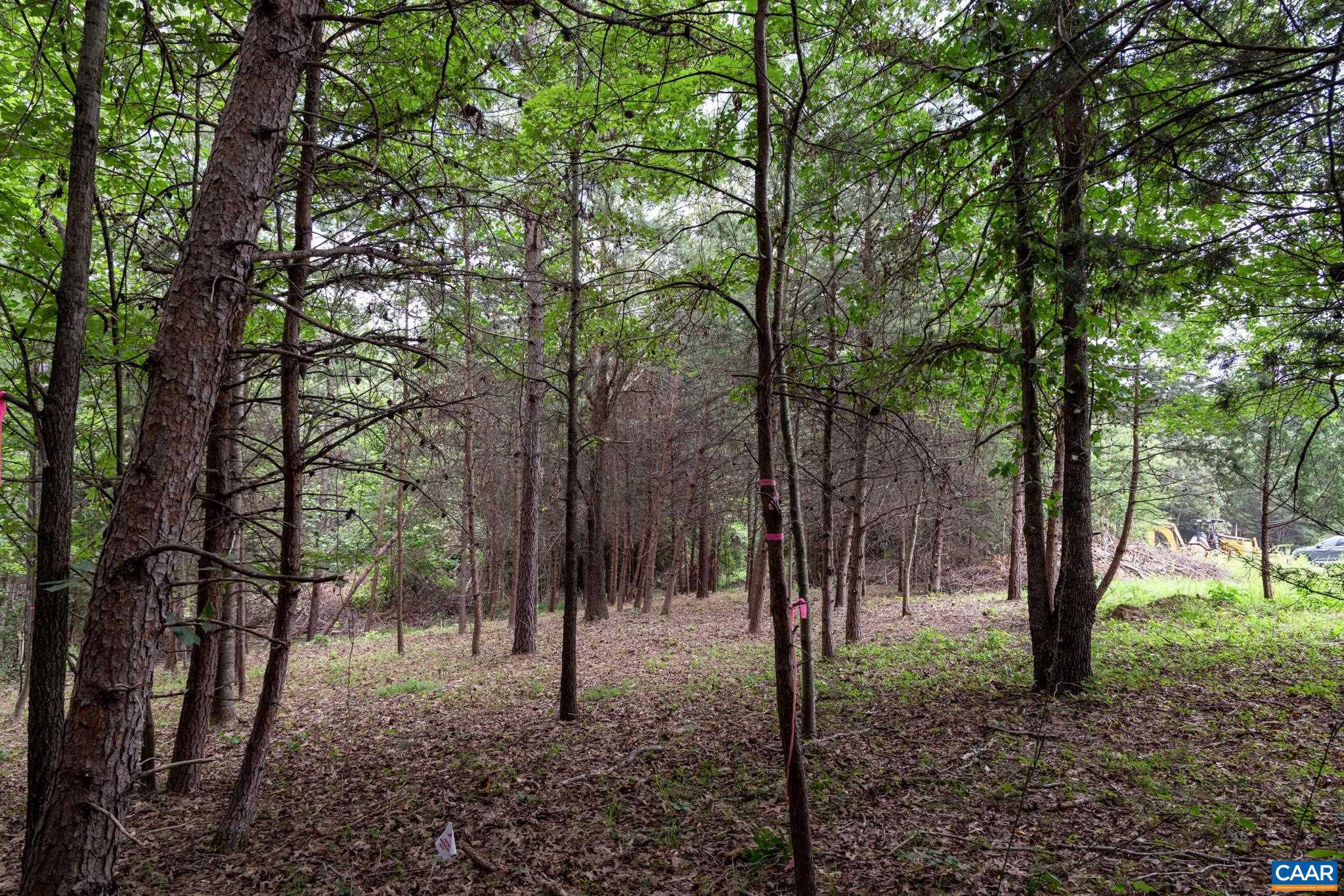 Lot 69 Palmer Place, Unit 69 Ruckersville, VA 22968 - Photo 4 of 15 a view of a forest filled with trees