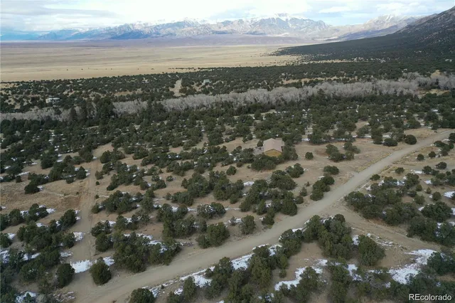 a view of a city with lush green forest