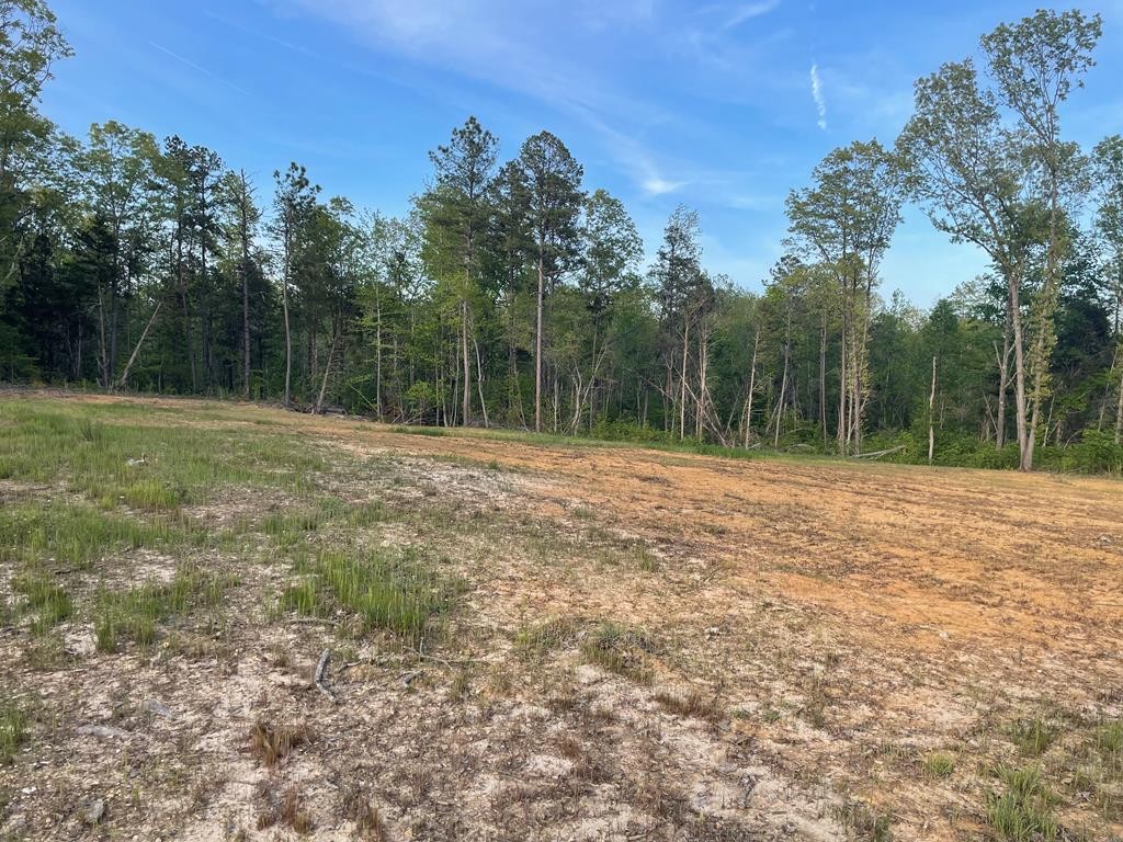 0 Atchison Road Camden, TN 38320 - Photo 3 of 5 Gallery Image 3