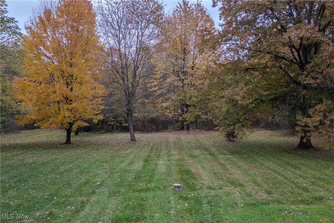 698 Albert Horning Road Atwater, OH 44201 - Photo 13 of 40 View of grassy yard