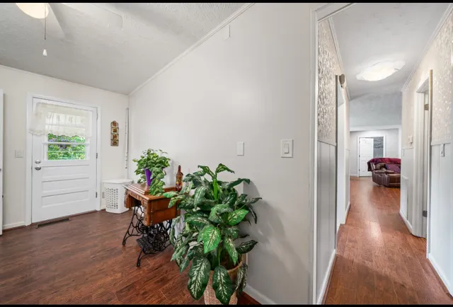a hallway with a potted plant on the wooden floor