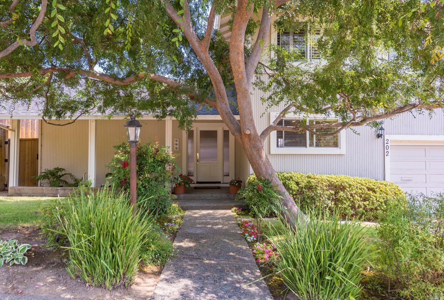 202 Ridgewood Drive San Rafael, CA 94901 - Photo 1 of 1 a view of a garden with plants