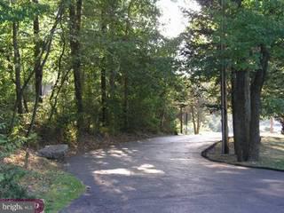 1012 Summit Road Temple, PA 19560 - Photo 3 of 6