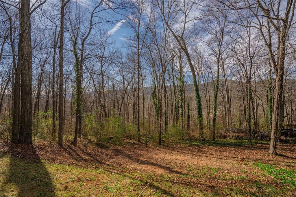 2001 Brook Way Dalton, GA 30720 - Photo 72 of 72