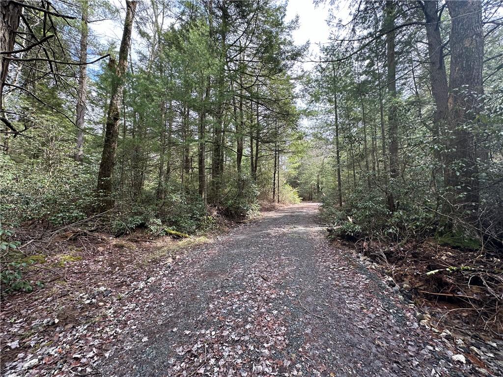 Tbd Ulster Heights Road Wawarsing, NY 12489 - Photo 1 of 1 Entrance to property/graveled. Flag Lot