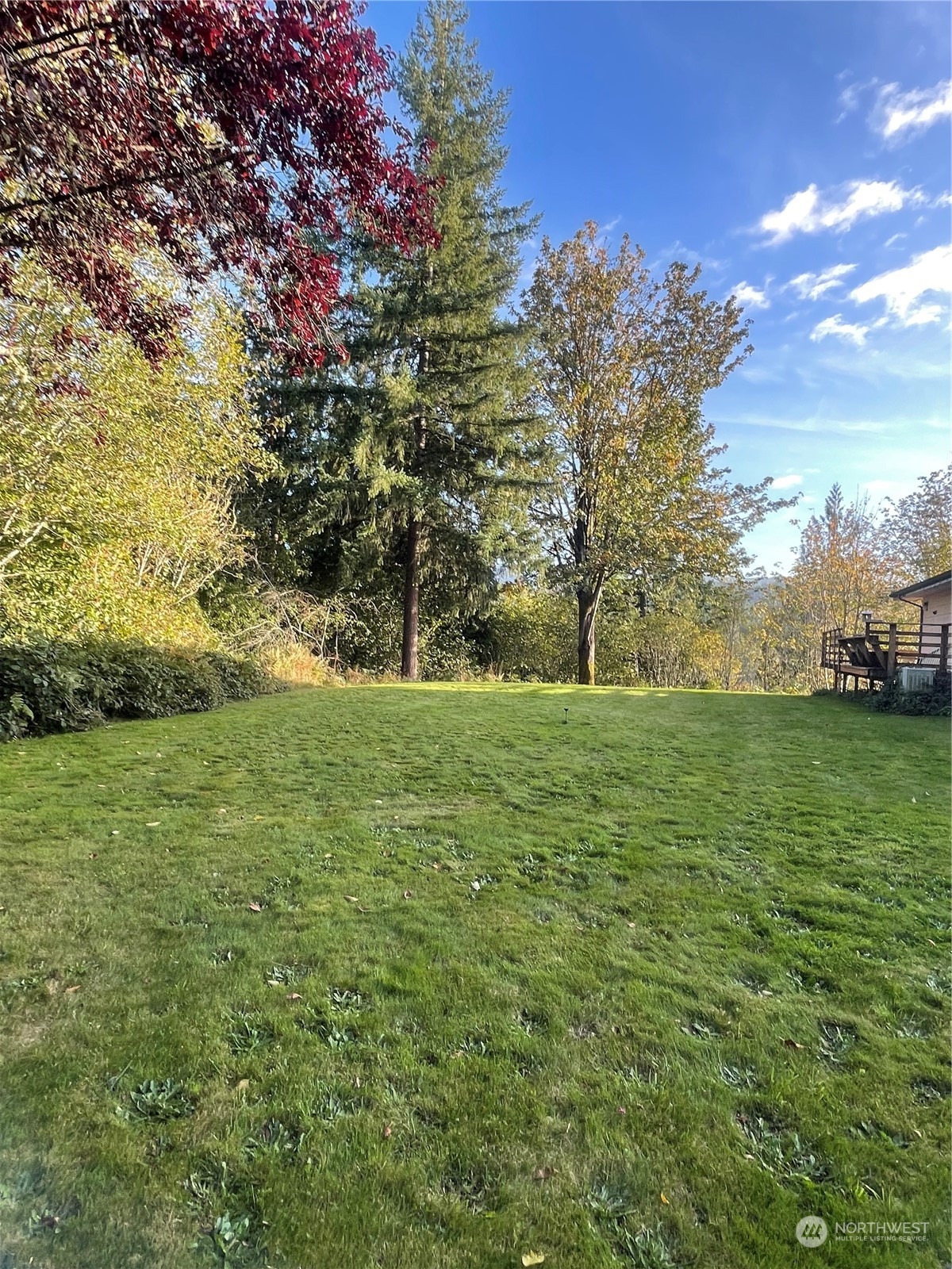 74 Strozyk Road Raymond, WA 98577 - Photo 26 of 26