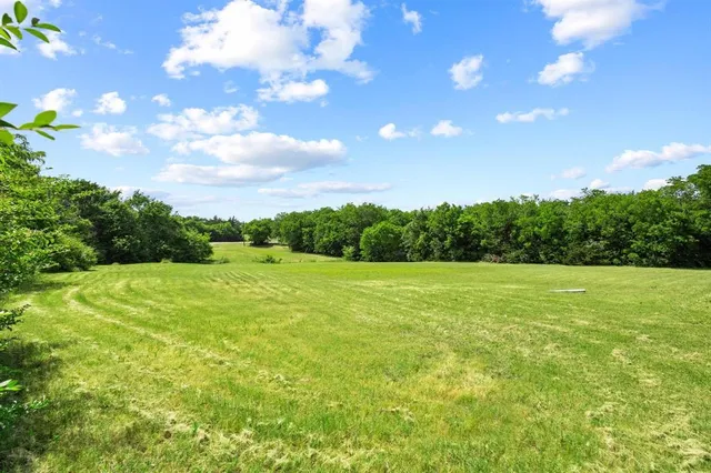 a view of a green field with clear sky