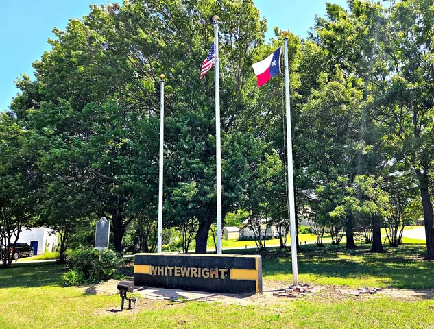 a view of a park with large trees