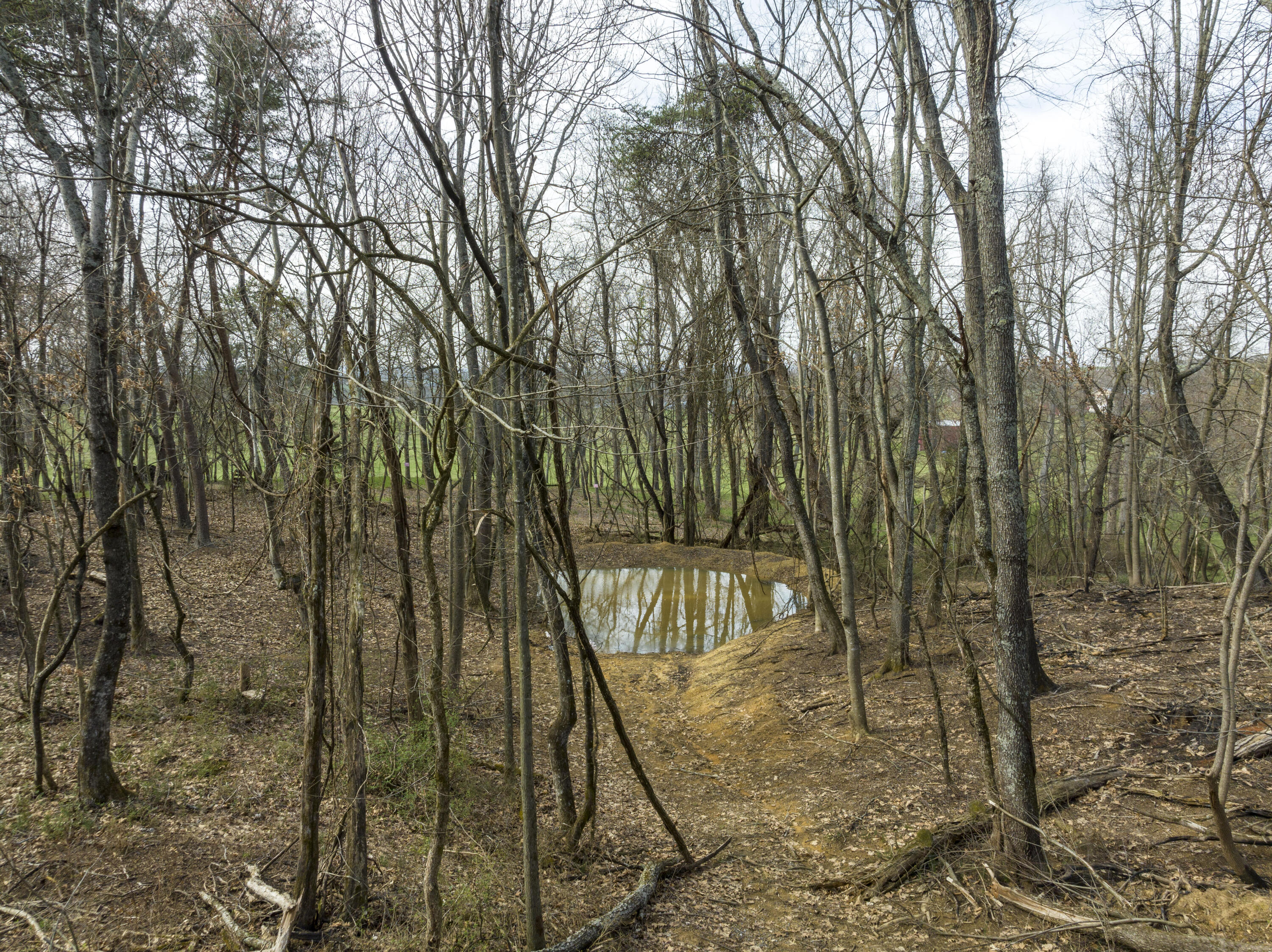 595 Newt Good Road Telford, TN 37690 - Photo 42 of 67 Pond