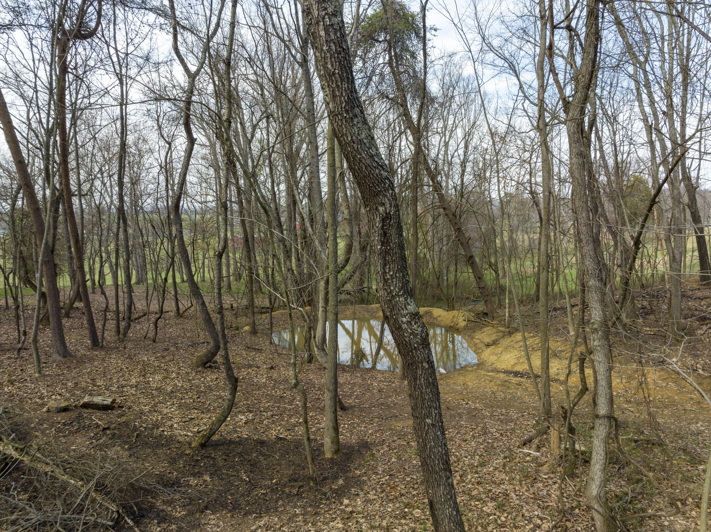 595 Newt Good Road Telford, TN 37690 - Photo 43 of 67 Pond