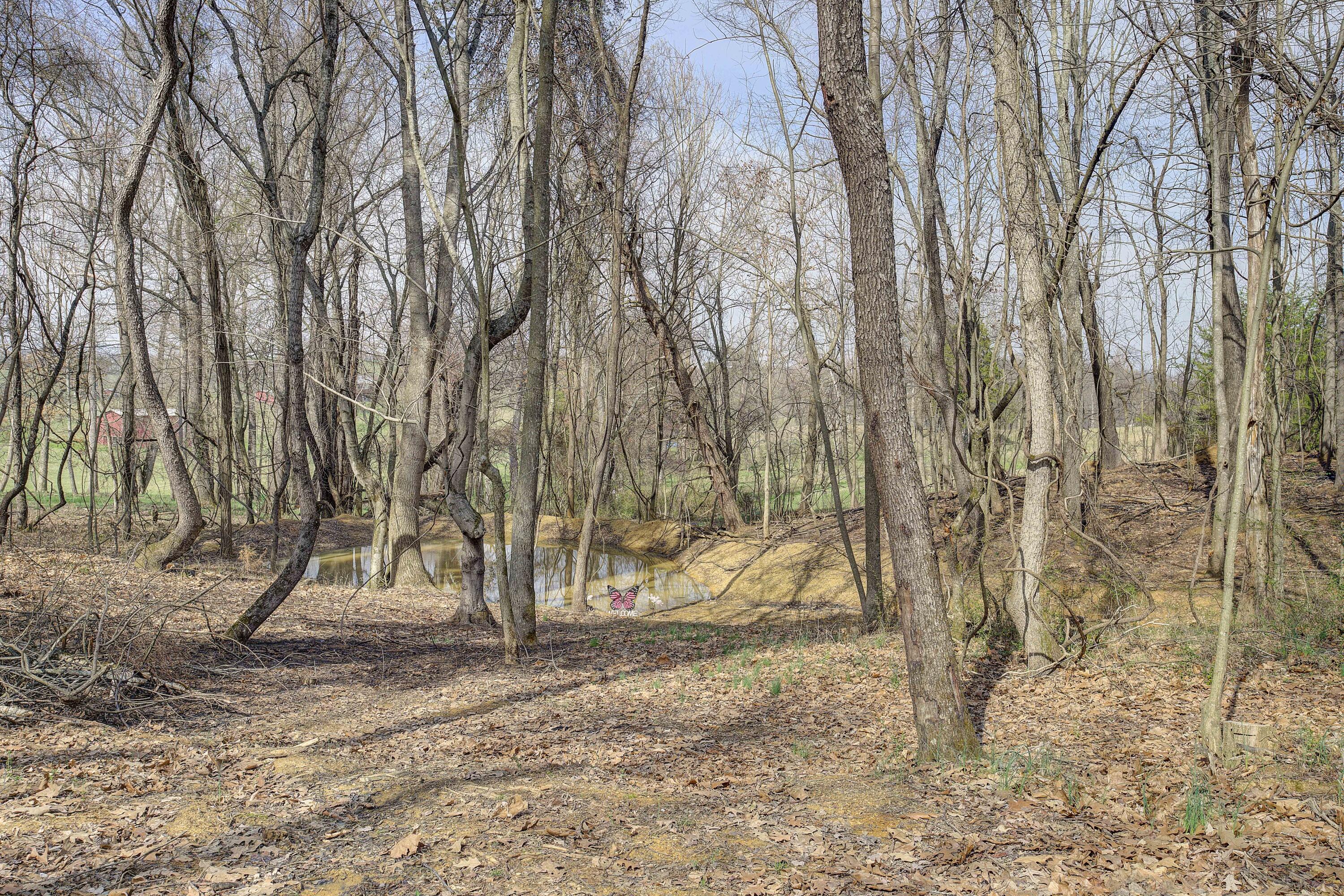 595 Newt Good Road Telford, TN 37690 - Photo 44 of 67 Newt-36