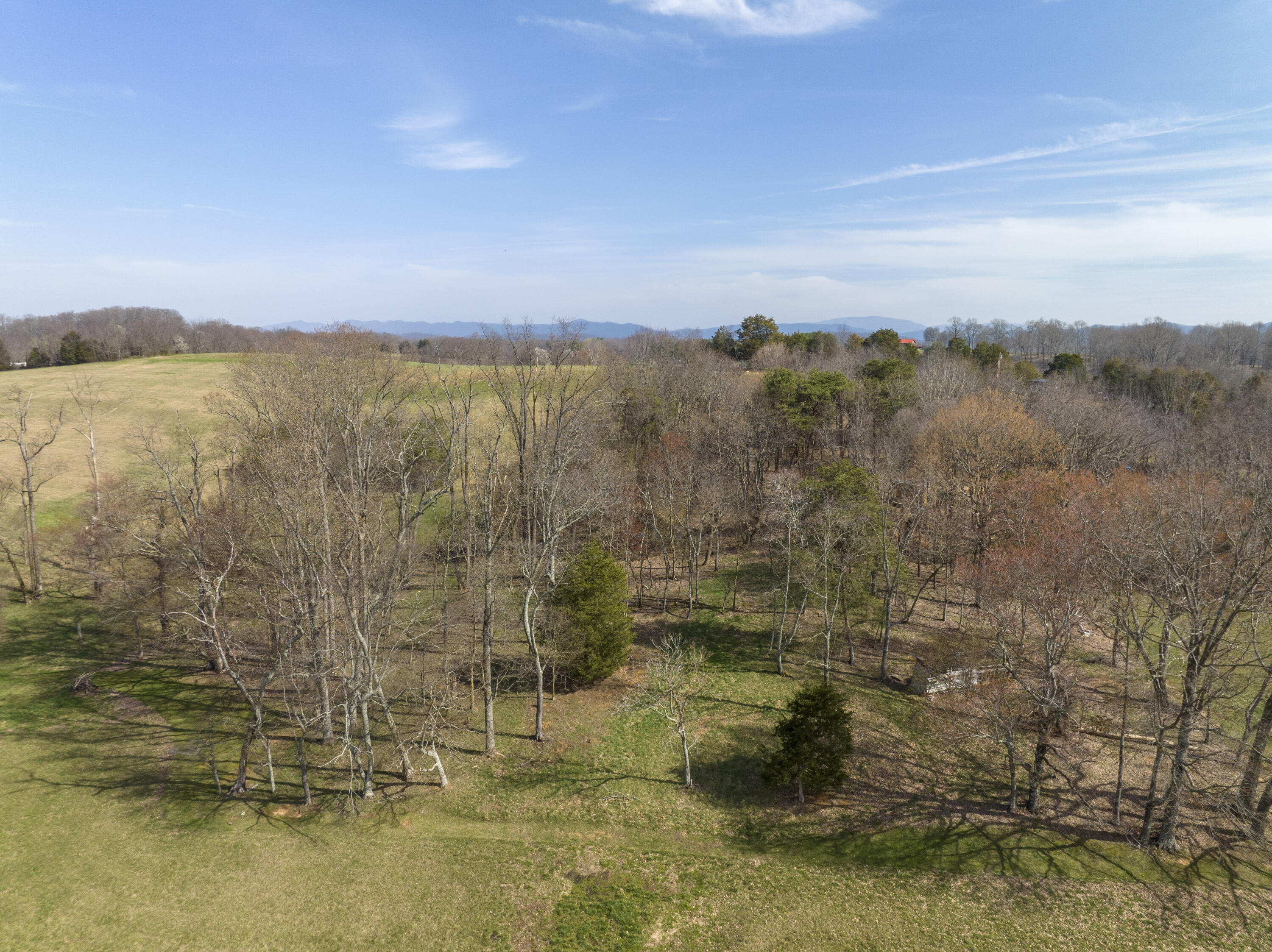 595 Newt Good Road Telford, TN 37690 - Photo 50 of 67 Newt_Aerials-7