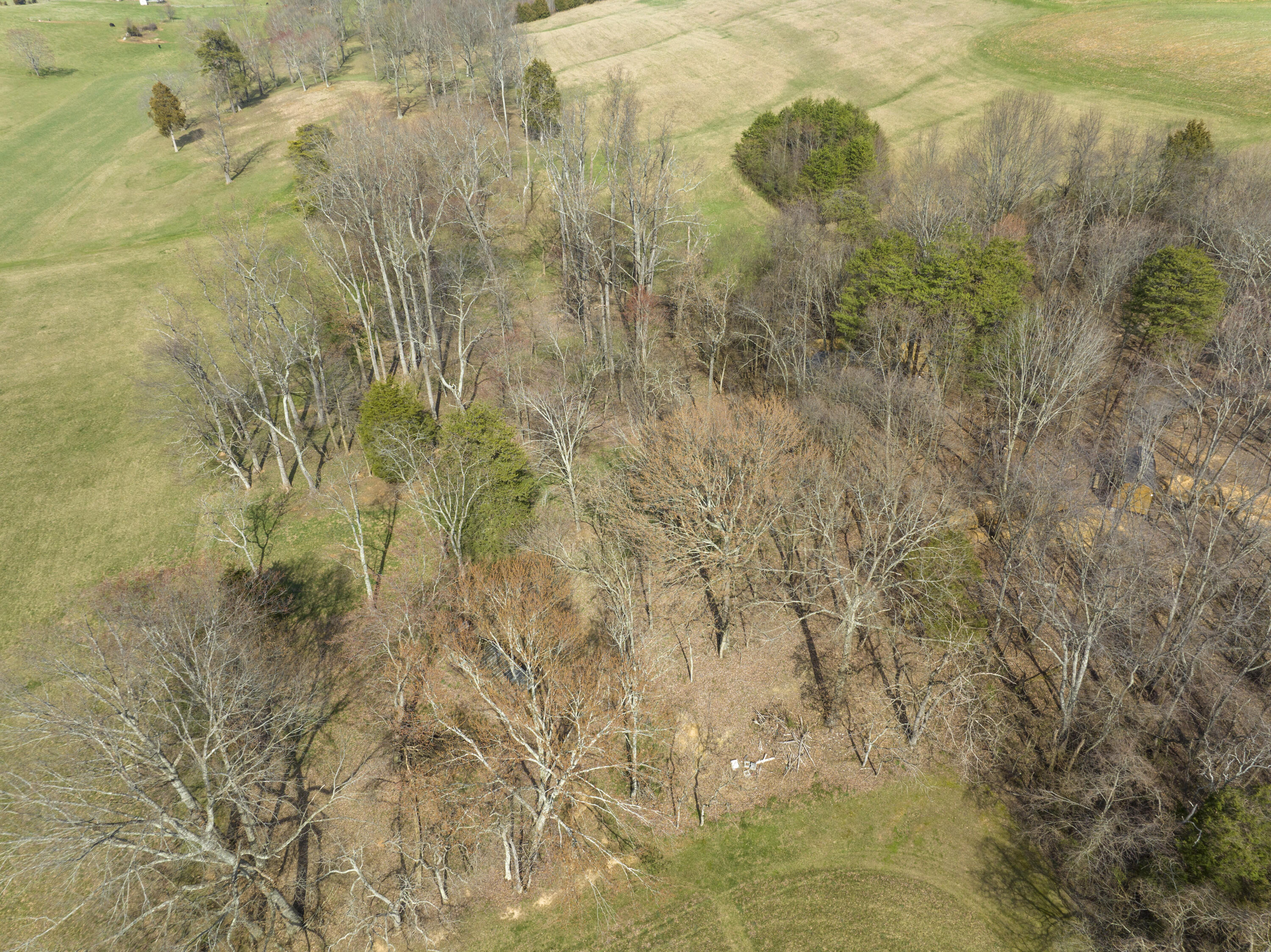 595 Newt Good Road Telford, TN 37690 - Photo 52 of 67 Newt_Aerials-9