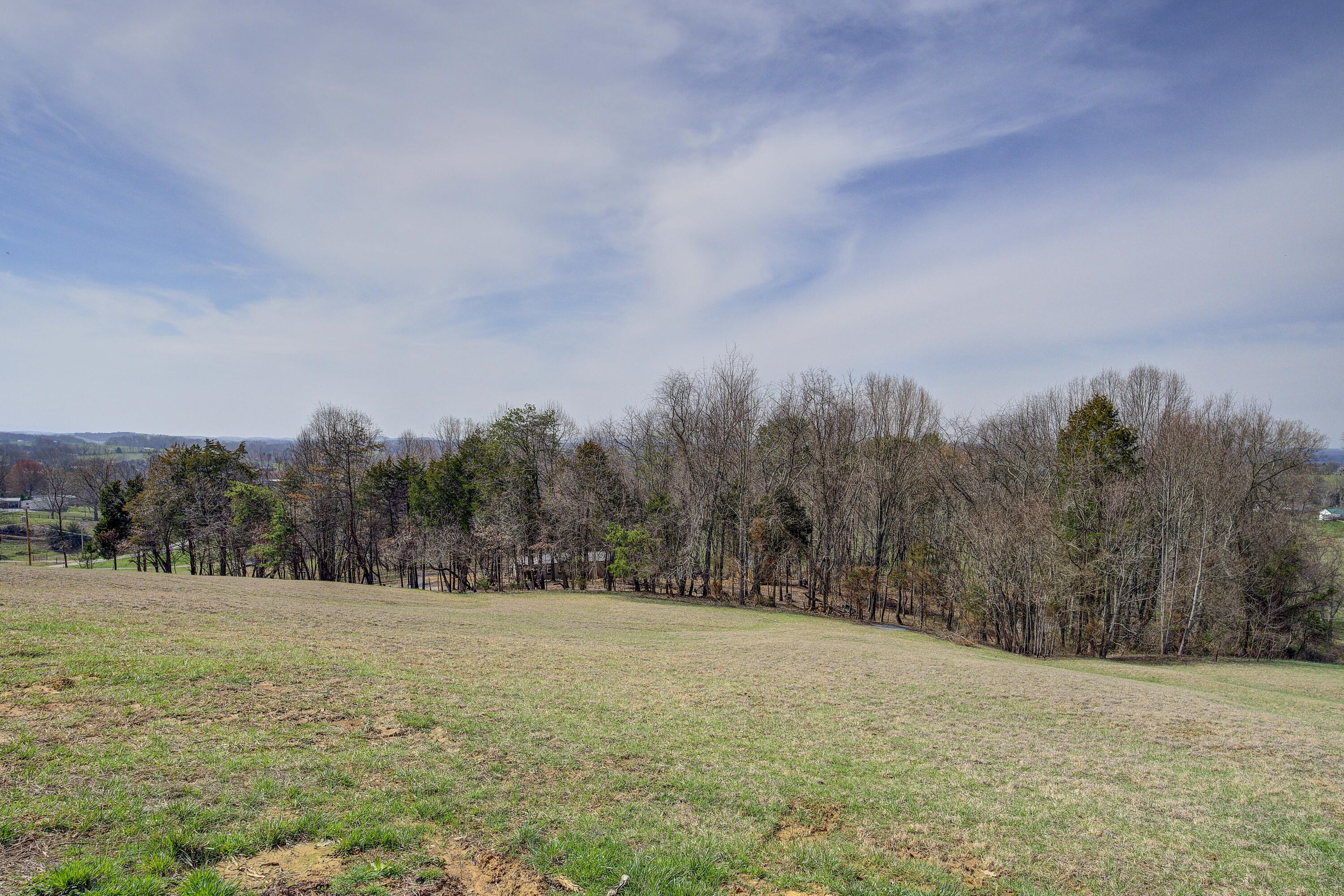595 Newt Good Road Telford, TN 37690 - Photo 55 of 67 Views 3