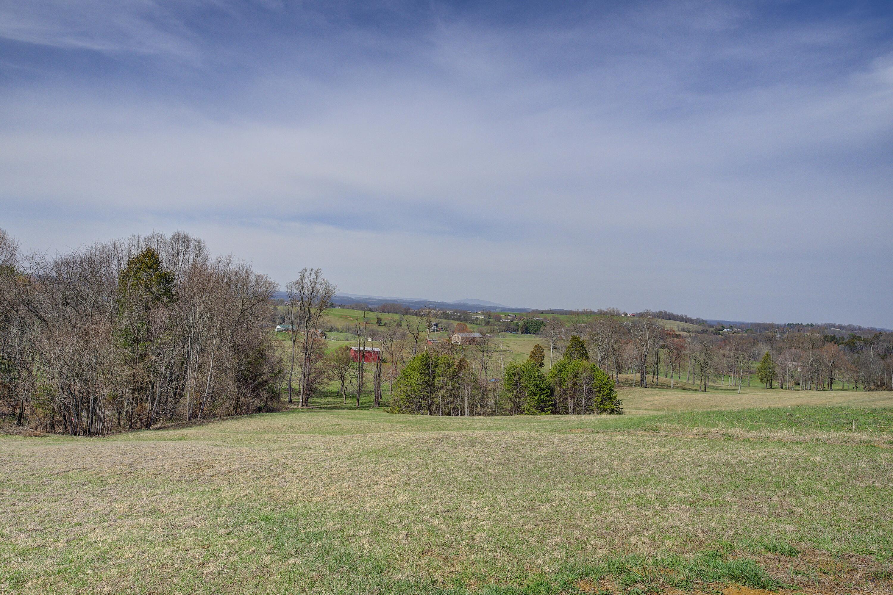 595 Newt Good Road Telford, TN 37690 - Photo 56 of 67 Views 4